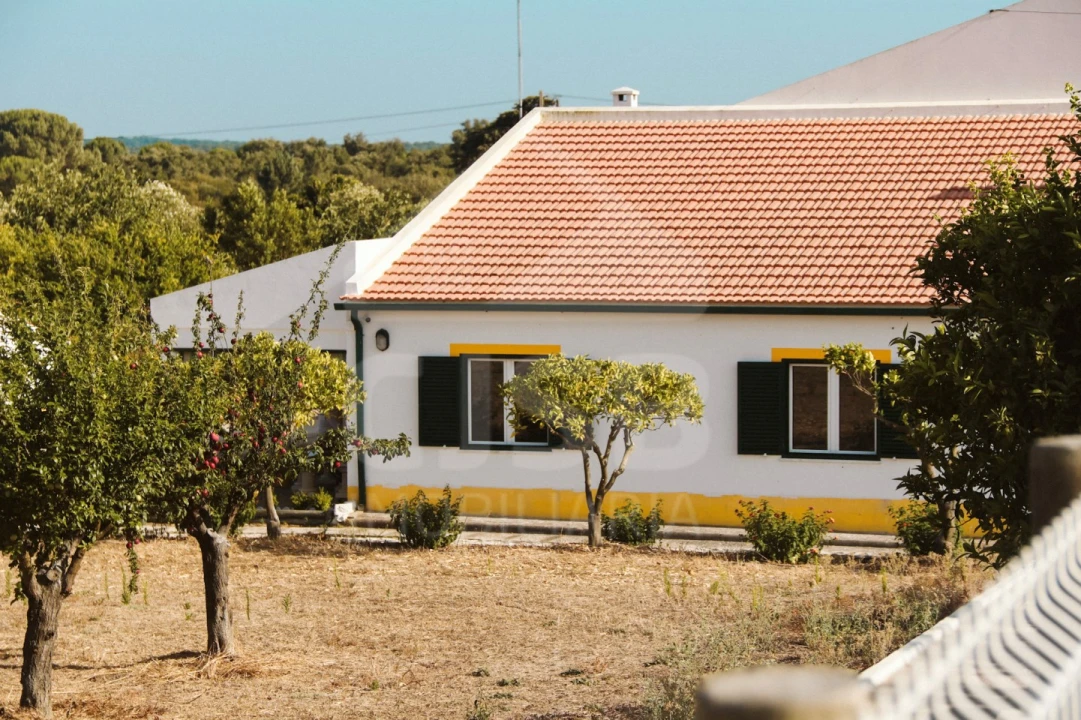 Moradia T5 para Venda em Branca Foto 5