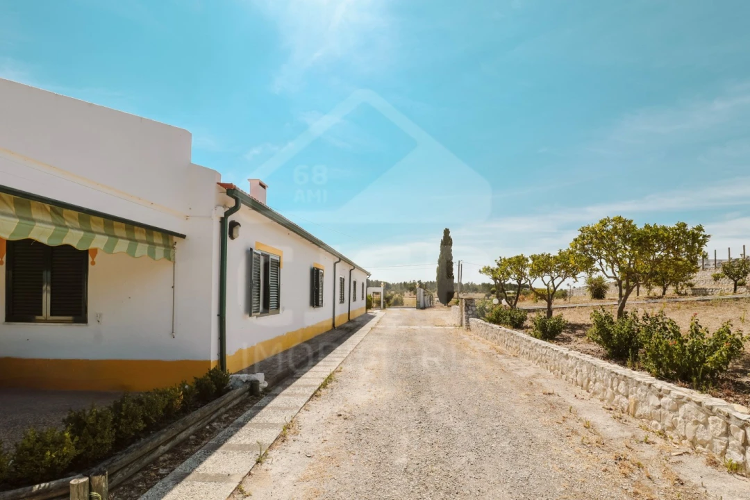 Moradia T5 para Venda em Branca Foto 4