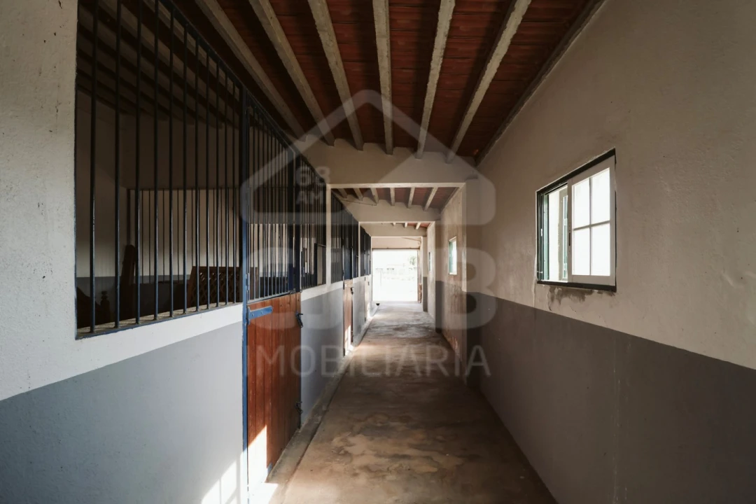 Moradia T5 para Venda em Branca Foto 36