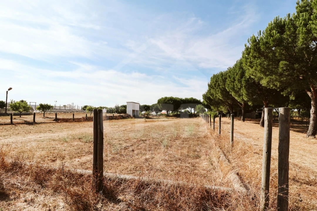 Moradia T5 para Venda em Branca Foto 50