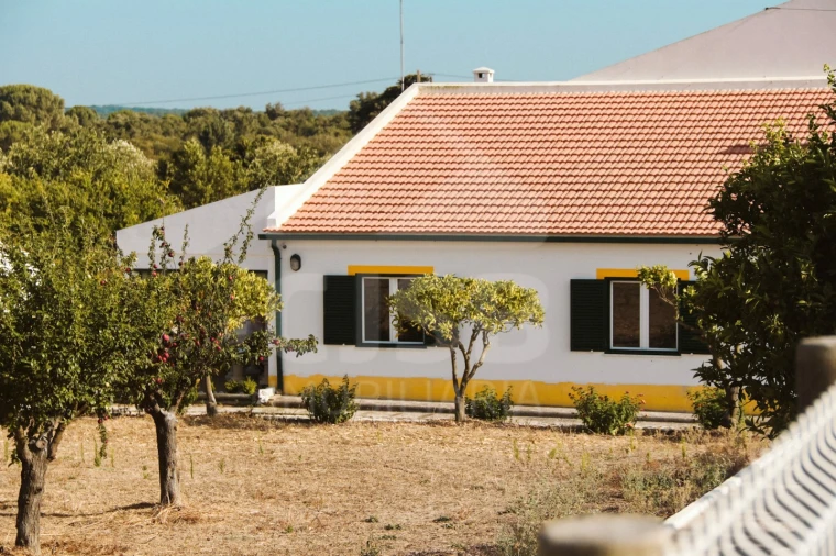 Moradia T5 para Venda em Branca Foto 5