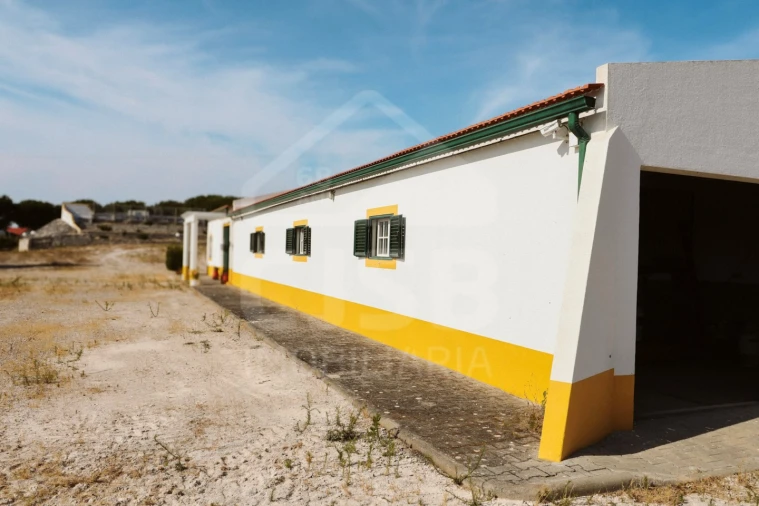 Moradia T5 para Venda em Branca Foto 6