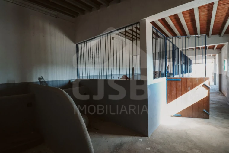 Moradia T5 para Venda em Branca Foto 35