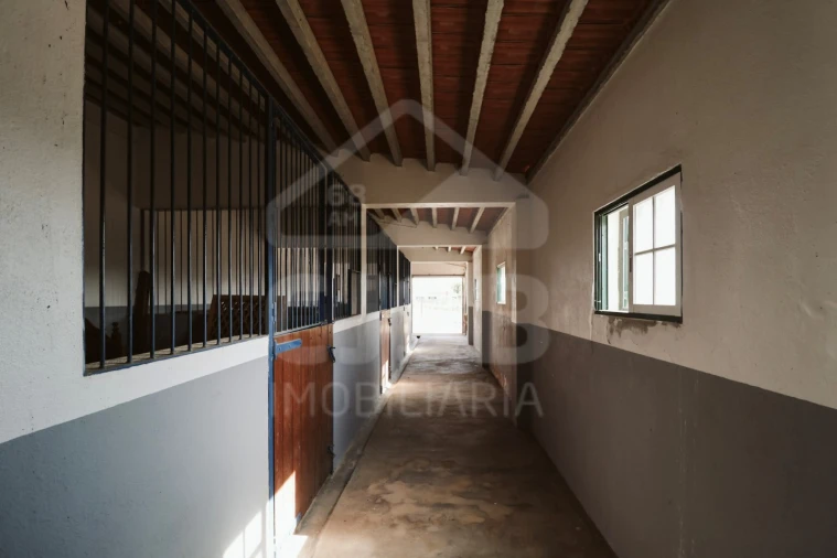 Moradia T5 para Venda em Branca Foto 36