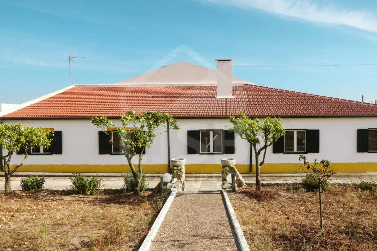 Moradia T5 para Venda em Branca Foto 39