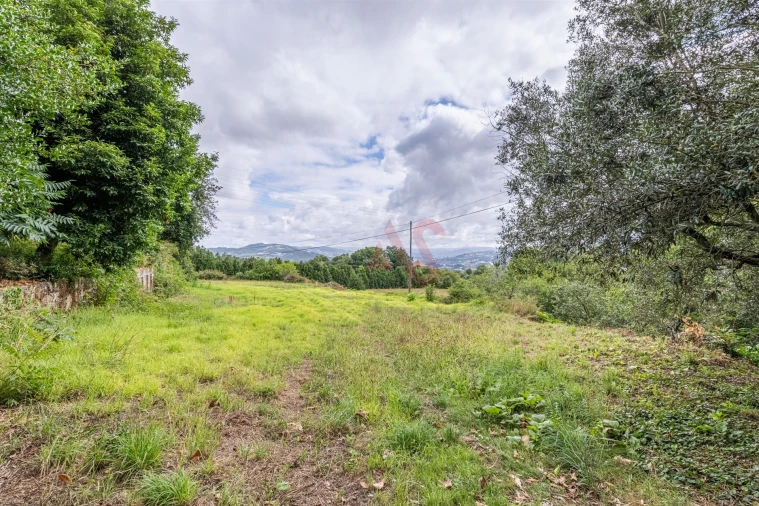 Quinta T5 para Venda em Lustosa e Barrosas (Santo Estêvão) Foto 52