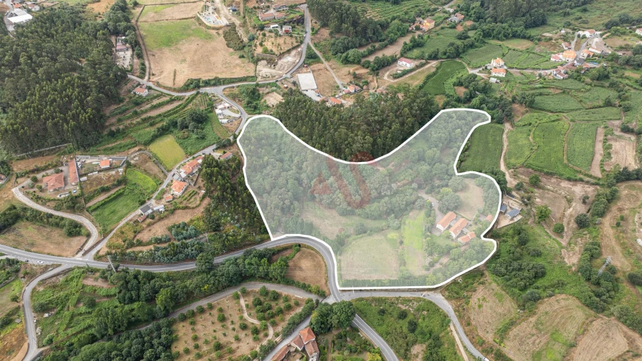 Quinta T5 para Venda em Lustosa e Barrosas (Santo Estêvão) Foto 56