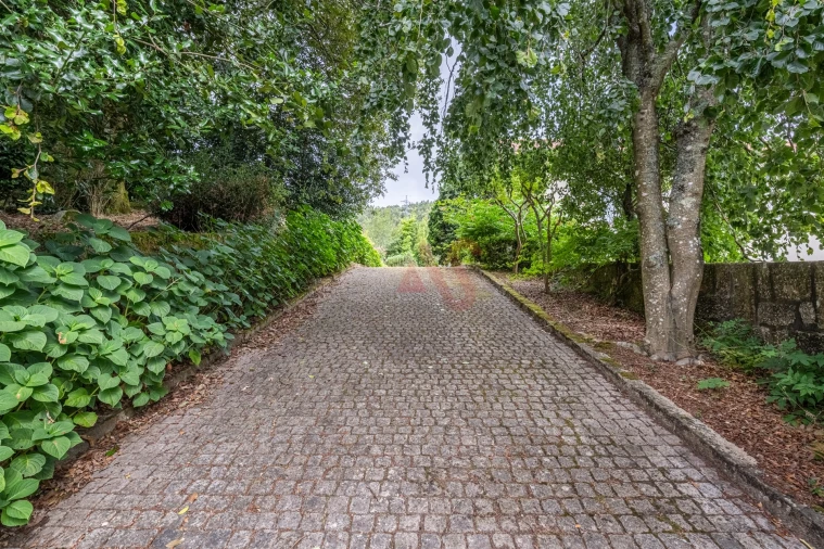 Quinta T5 para Venda em Lustosa e Barrosas (Santo Estêvão) Foto 51