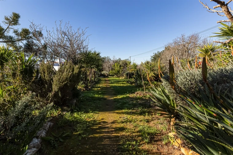 Moradia T3 para Venda em Ferreiras Foto 33