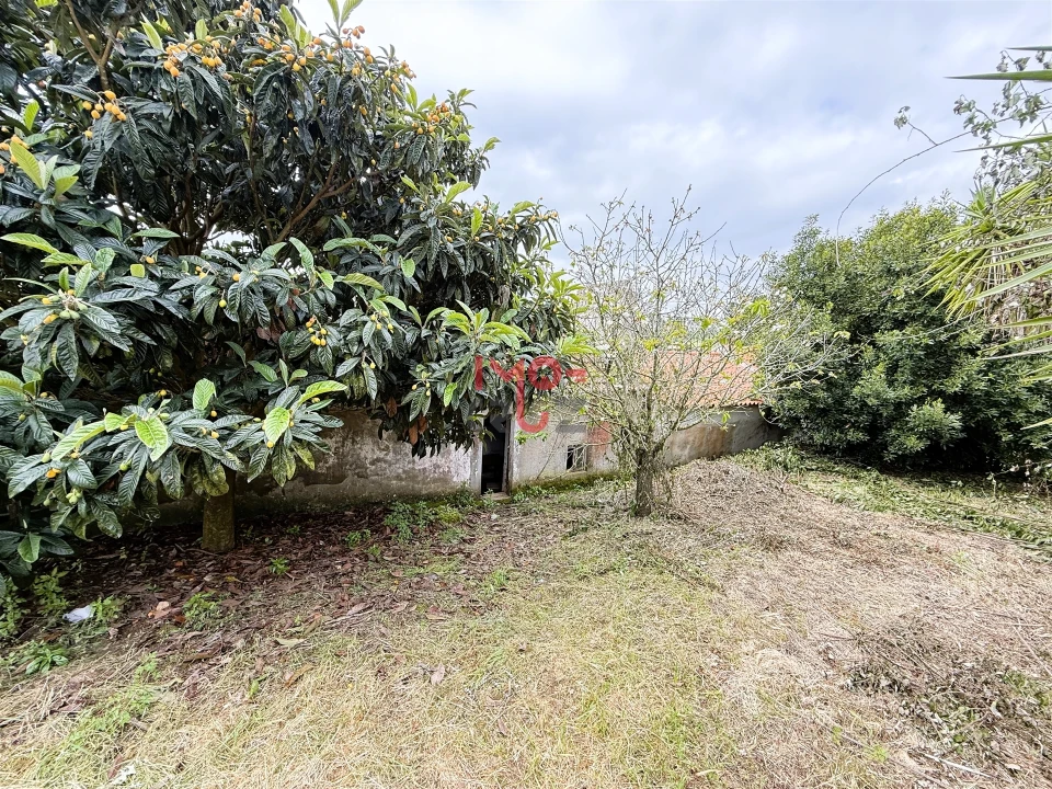 Moradia T2 para Venda em Santa Catarina Foto 8