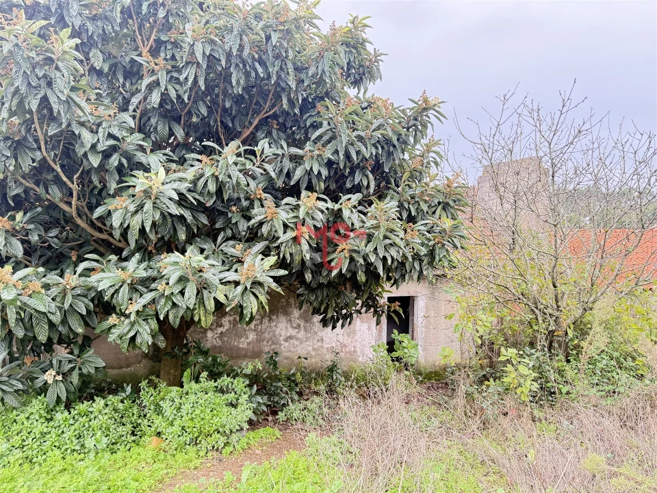 Moradia T2 para Venda em Santa Catarina Foto 19