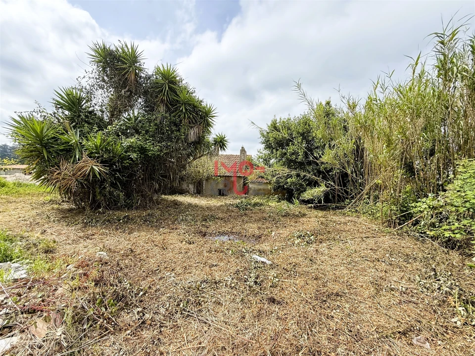 Moradia T2 para Venda em Santa Catarina Foto 9