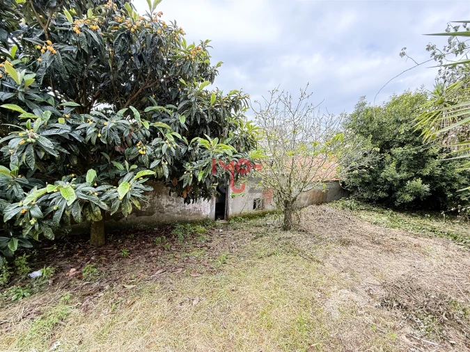 Moradia T2 para Venda em Santa Catarina Foto 8