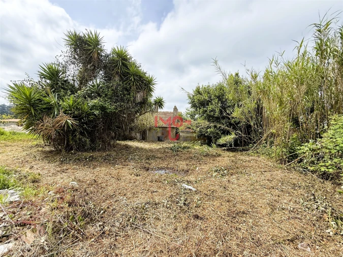 Moradia T2 para Venda em Santa Catarina Foto 9