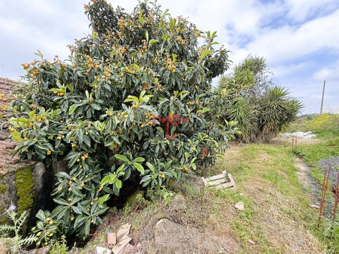 Moradia T2 para Venda em Santa Catarina Foto 6