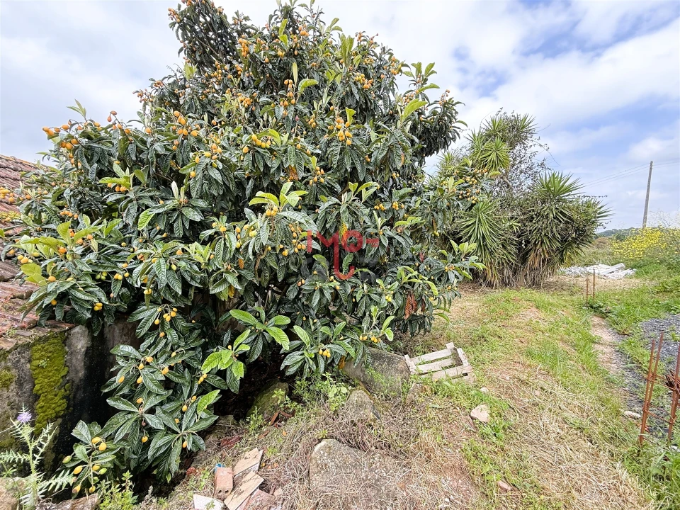 Moradia T2 para Venda em Santa Catarina Foto 6