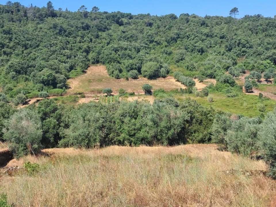 Moradia T3 para Venda em Chãos Foto 3