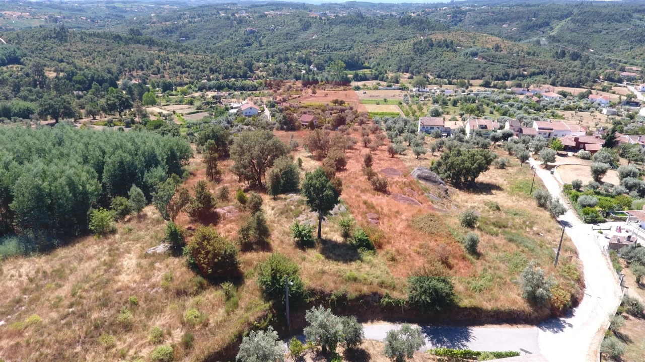 Terreno Misto para Venda em Covas e Vila Nova de Oliveirinha Foto 5