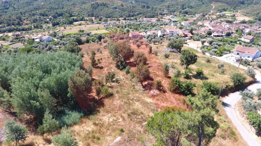Terreno Misto para Venda em Covas e Vila Nova de Oliveirinha Foto 4