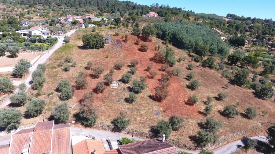 Terreno Misto para Venda em Covas e Vila Nova de Oliveirinha Foto 7