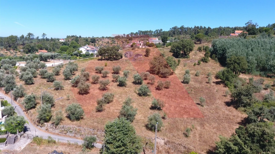 Terreno Misto para Venda em Covas e Vila Nova de Oliveirinha Foto 8