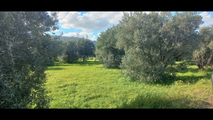 Terreno Agricola ou Rústico para Arrendamento em Alverca do Ribatejo e Sobralinho