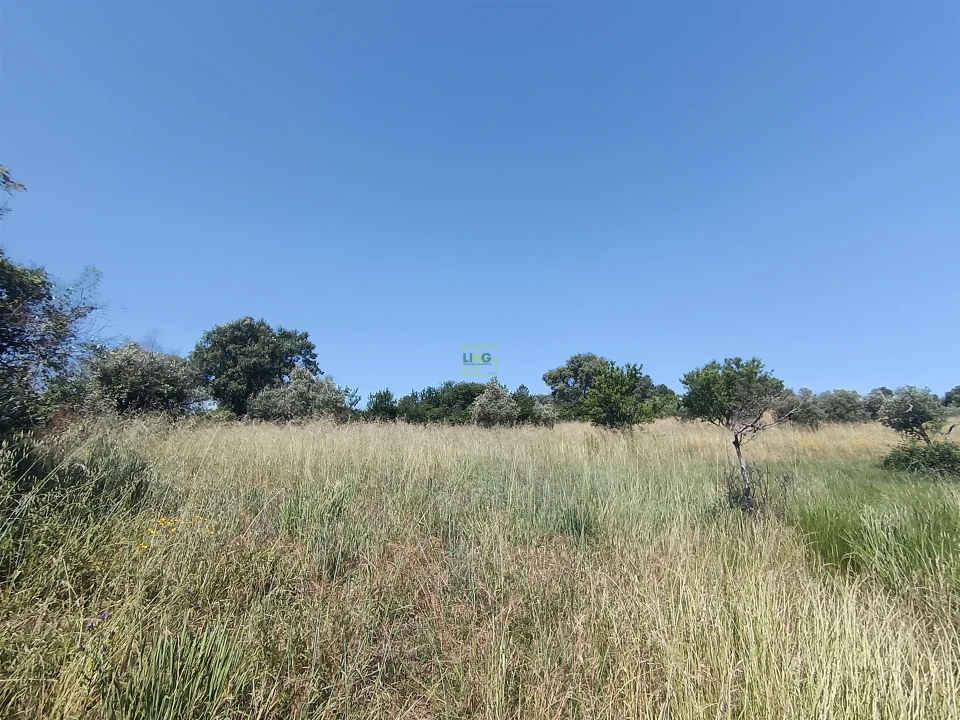 Terreno Agricola ou Rústico para Venda em Penamacor Foto 4