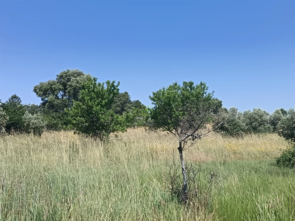 Terreno Agricola ou Rústico para Venda em Penamacor Foto 10