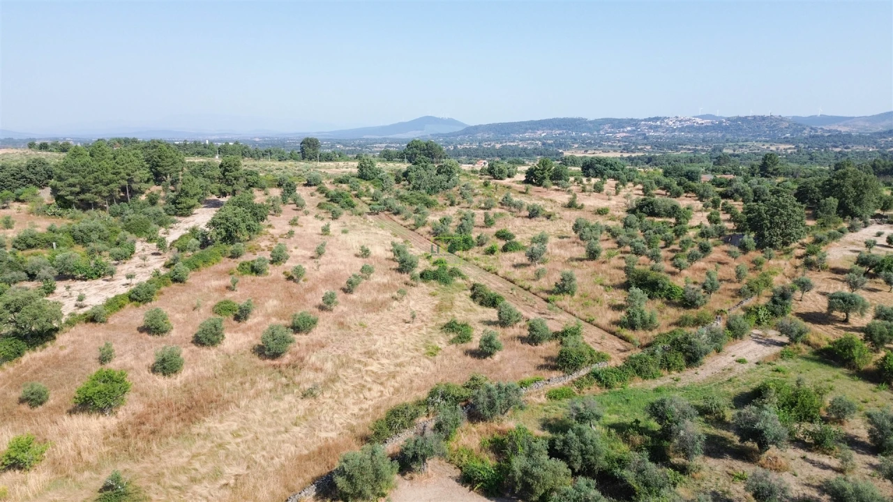 Terreno Agricola ou Rústico para Venda em Penamacor Foto 39