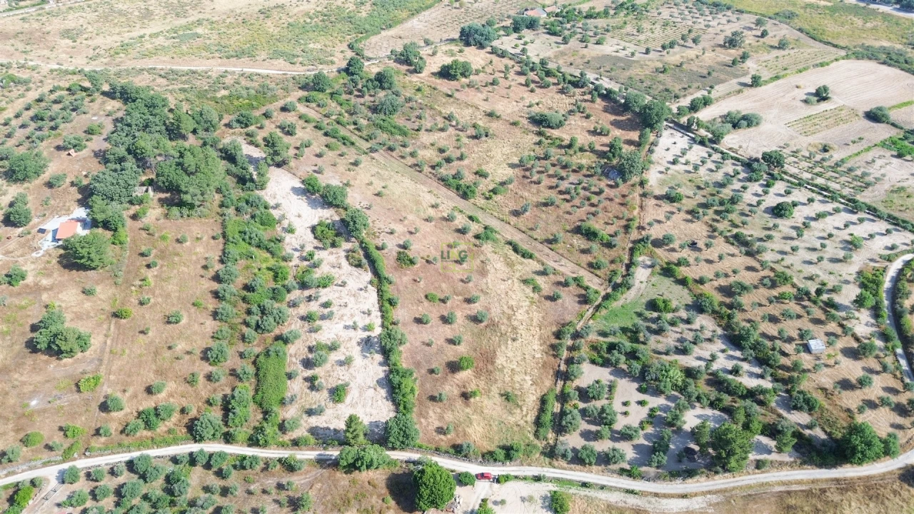 Terreno Agricola ou Rústico para Venda em Penamacor Foto 55