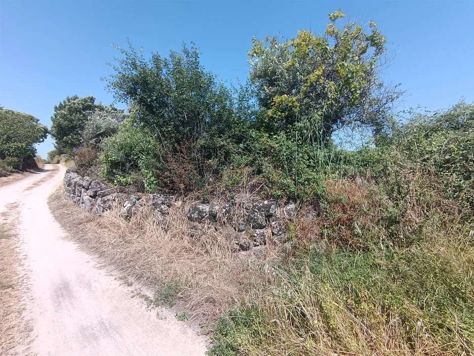 Terreno Agricola ou Rústico para Venda em Penamacor Foto 20
