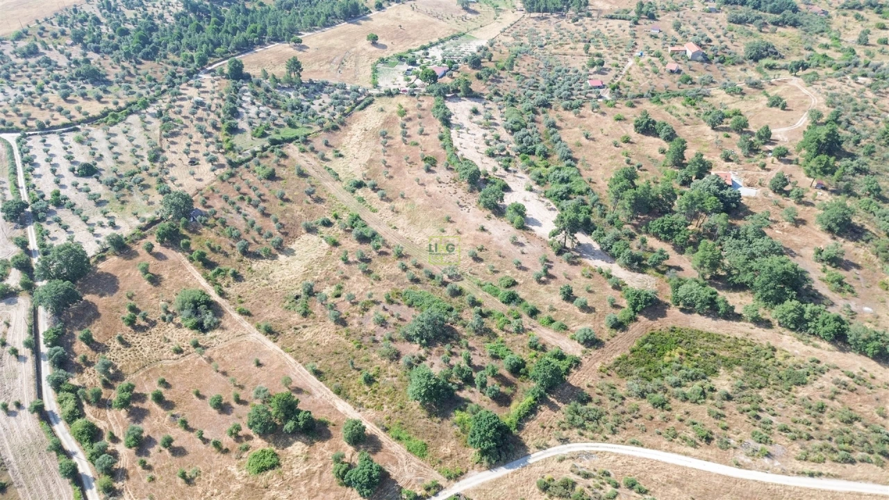 Terreno Agricola ou Rústico para Venda em Penamacor Foto 25