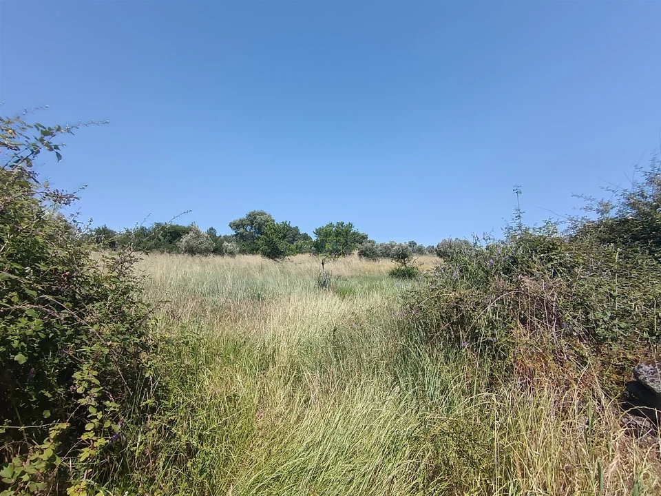 Terreno Agricola ou Rústico para Venda em Penamacor Foto 2