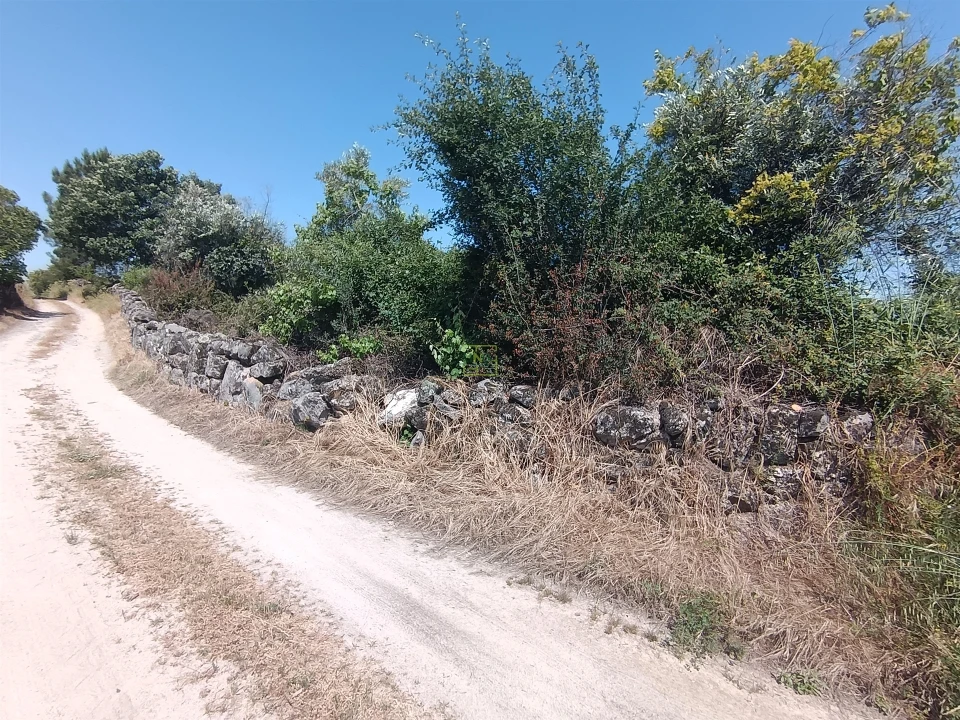 Terreno Agricola ou Rústico para Venda em Penamacor Foto 22