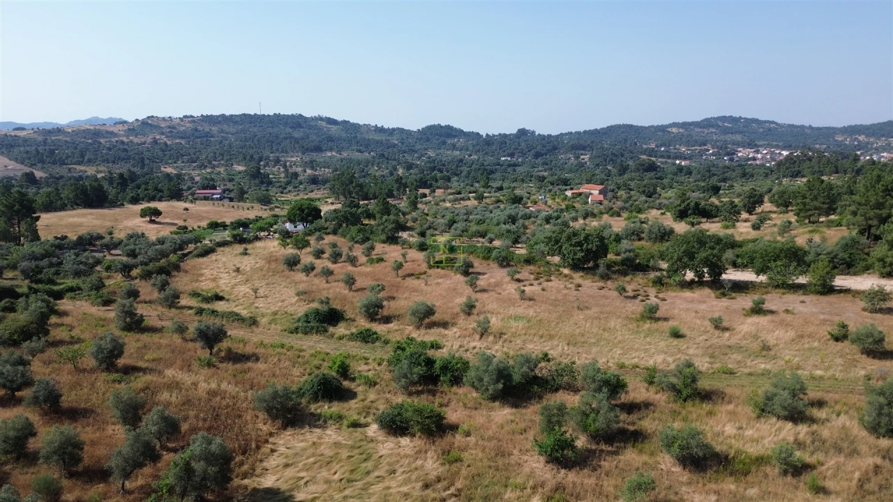 Terreno Agricola ou Rústico para Venda em Penamacor Foto 24