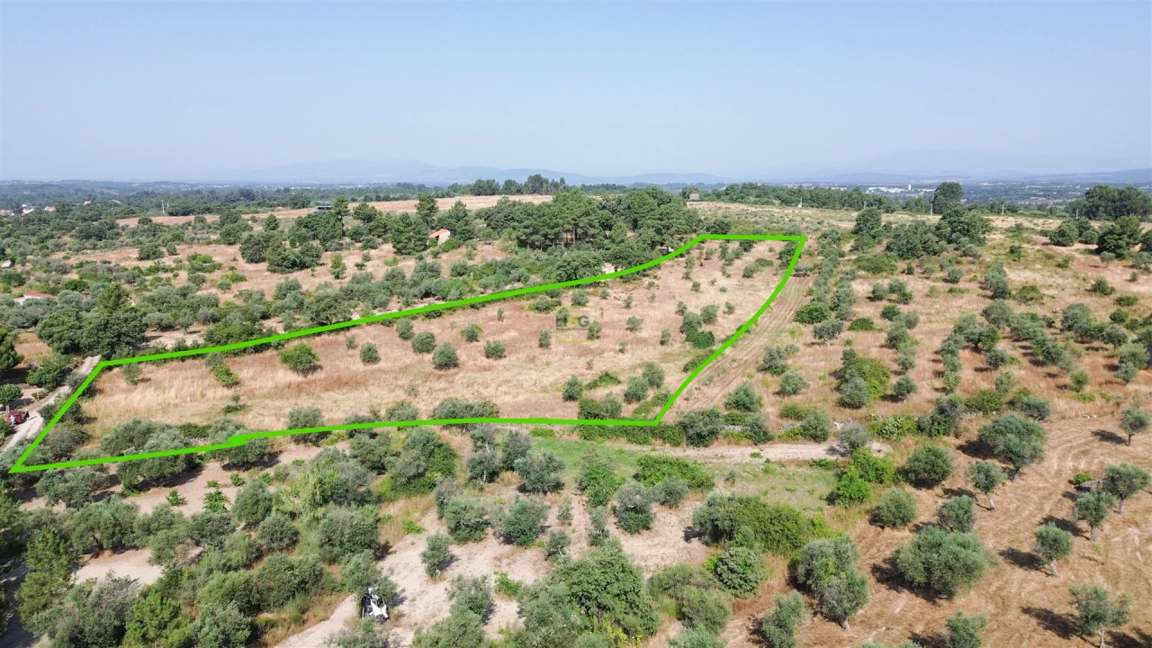 Terreno Agricola ou Rústico para Venda em Penamacor Foto 50