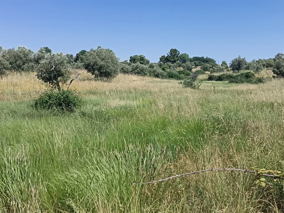 Terreno Agricola ou Rústico para Venda em Penamacor Foto 18