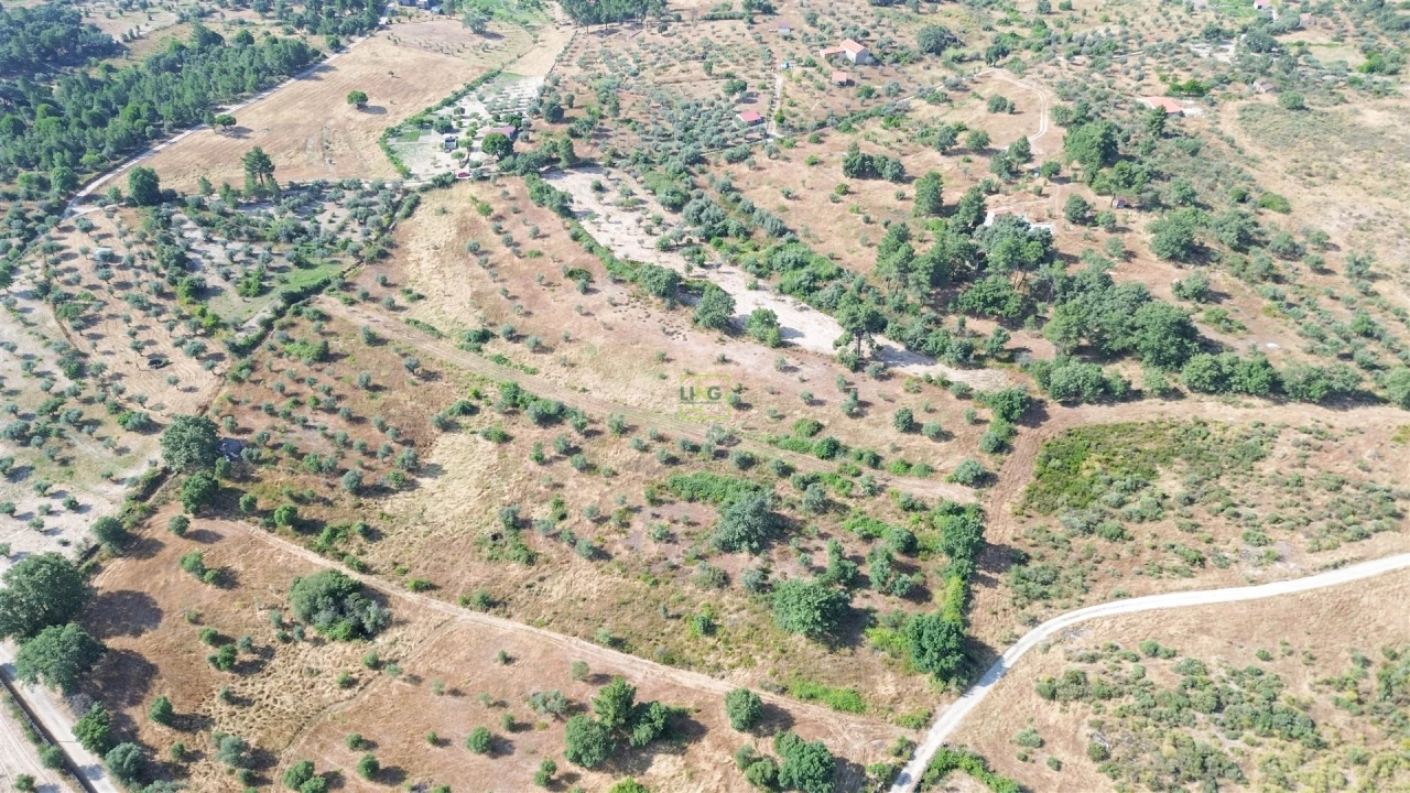 Terreno Agricola ou Rústico para Venda em Penamacor Foto 27
