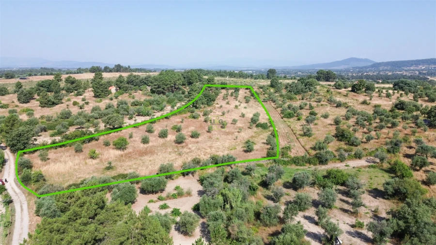 Terreno Agricola ou Rústico para Venda em Penamacor Foto 44
