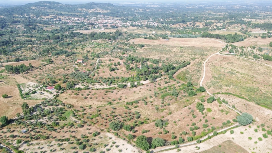 Terreno Agricola ou Rústico para Venda em Penamacor Foto 33