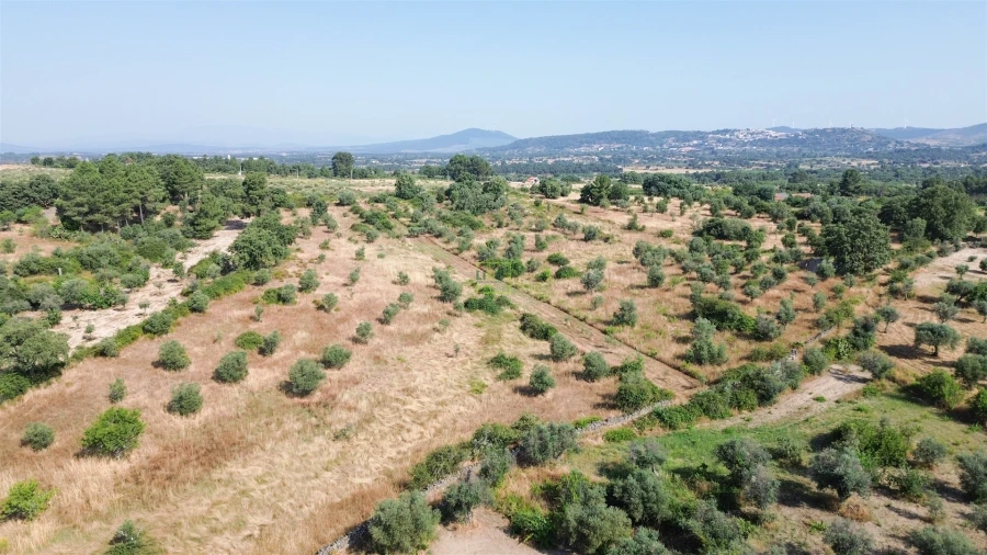 Terreno Agricola ou Rústico para Venda em Penamacor Foto 39