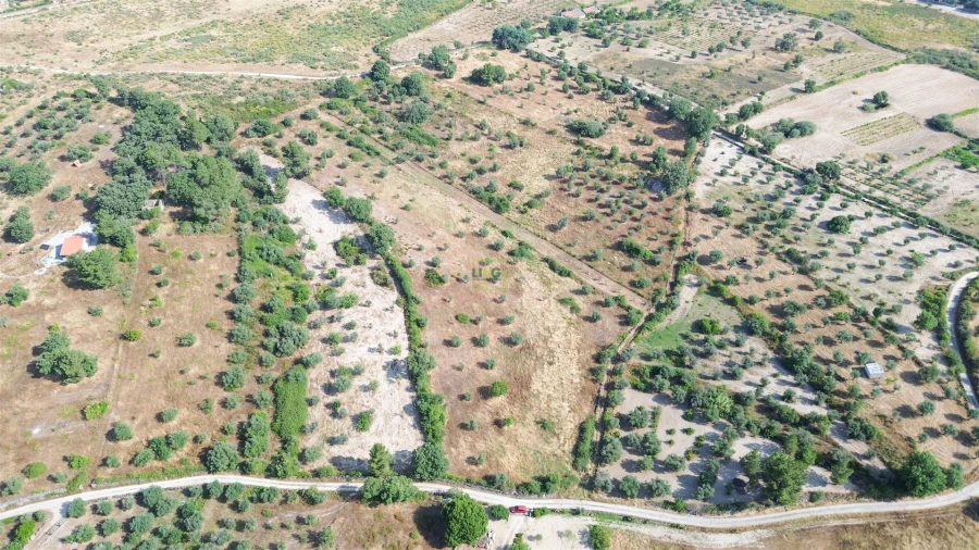 Terreno Agricola ou Rústico para Venda em Penamacor Foto 55