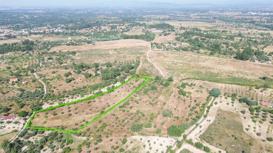 Terreno Agricola ou Rústico para Venda em Penamacor Foto 38