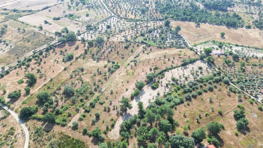 Terreno Agricola ou Rústico para Venda em Penamacor Foto 64