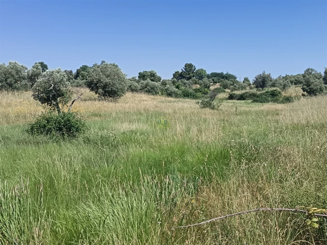 Terreno Agricola ou Rústico para Venda em Penamacor Foto 16