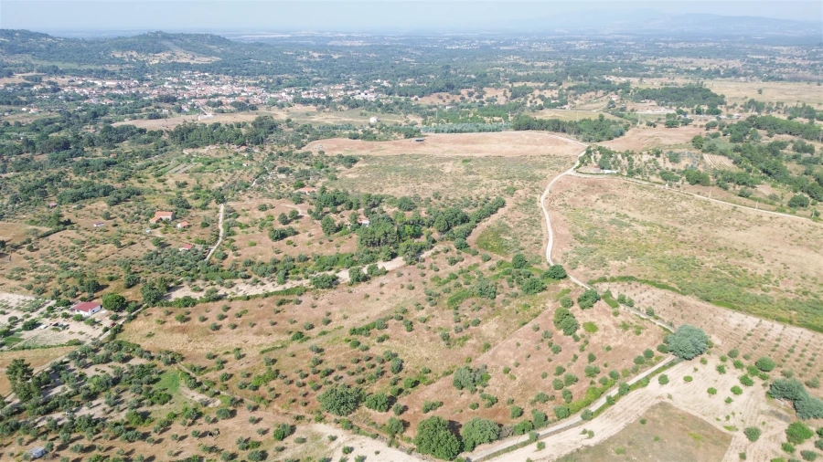 Terreno Agricola ou Rústico para Venda em Penamacor Foto 35