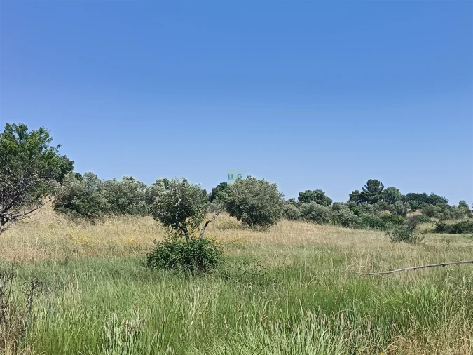 Terreno Agricola ou Rústico para Venda em Penamacor Foto 11