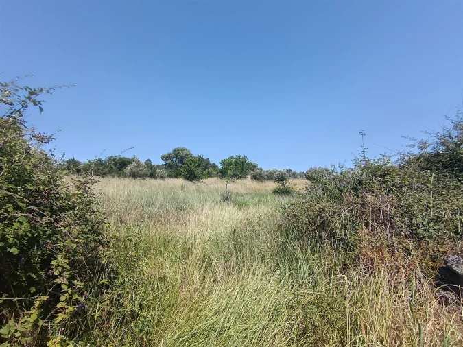 Terreno Agricola ou Rústico para Venda em Penamacor Foto 2