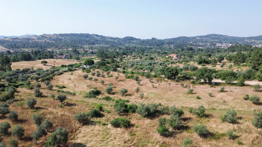 Terreno Agricola ou Rústico para Venda em Penamacor Foto 53