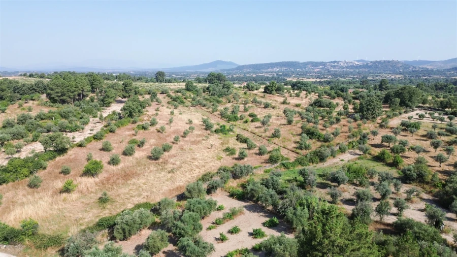 Terreno Agricola ou Rústico para Venda em Penamacor Foto 41